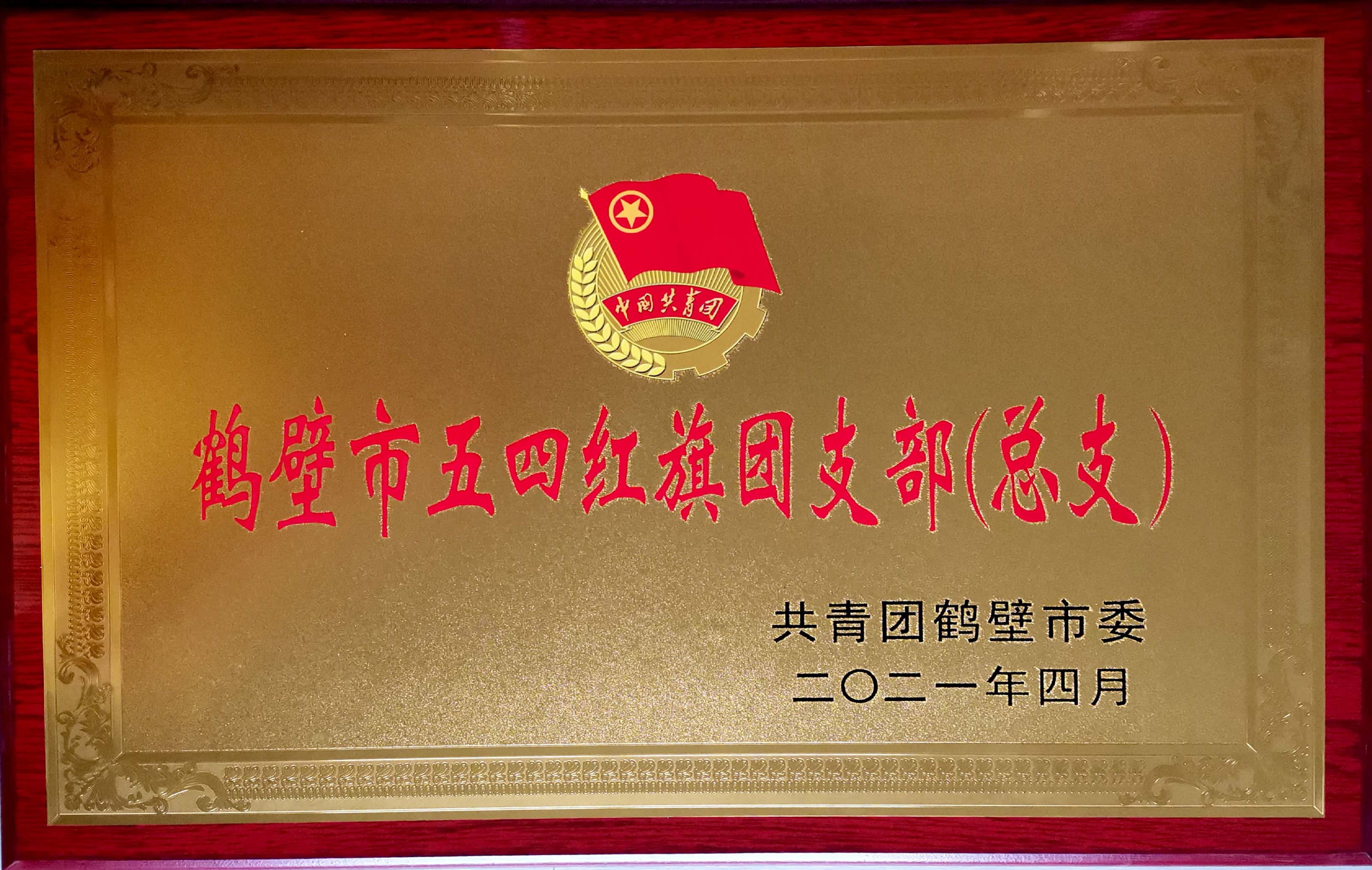 2021年鹤壁市五四红旗团支部