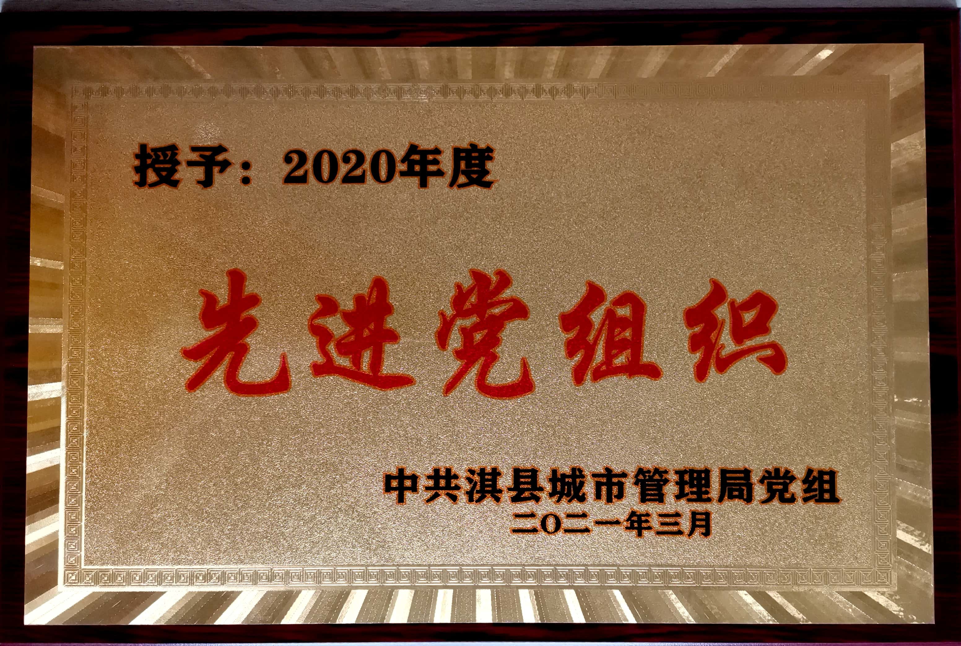 2020年度先进党组织